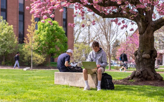 Students Sitting Under Cherry Blossoms