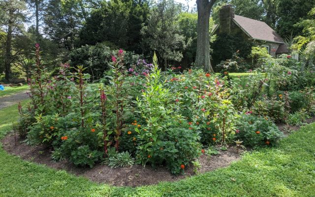 Entrance Garden at Taylor Arboretum