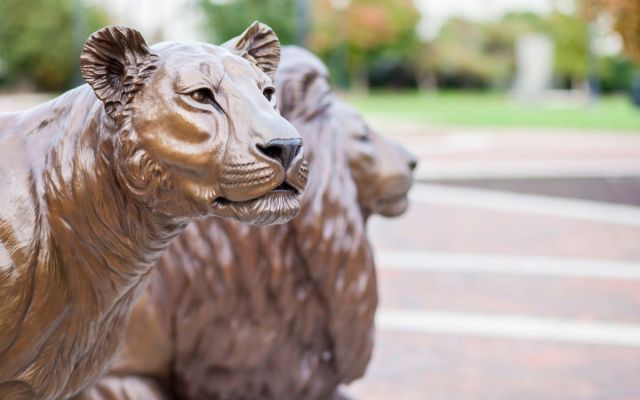 Pride lion statue on Widener University's campus.
