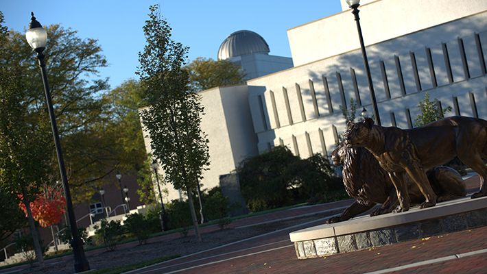 wolfgram memorial library and widener pride lion statue