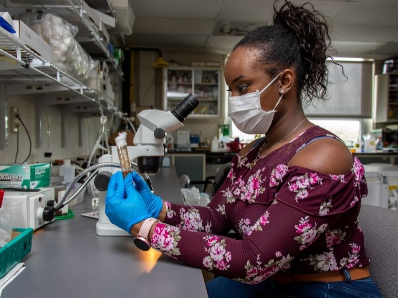 Female student examines samples in a laboratory in front of microscope.