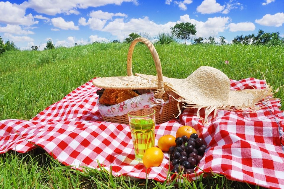 summer picnic blanket with food